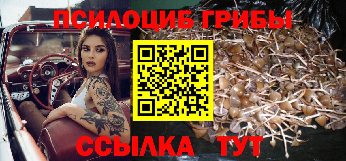 Галлюциногенные грибы прущие грибы  Вход с VPN  Азнакаево 