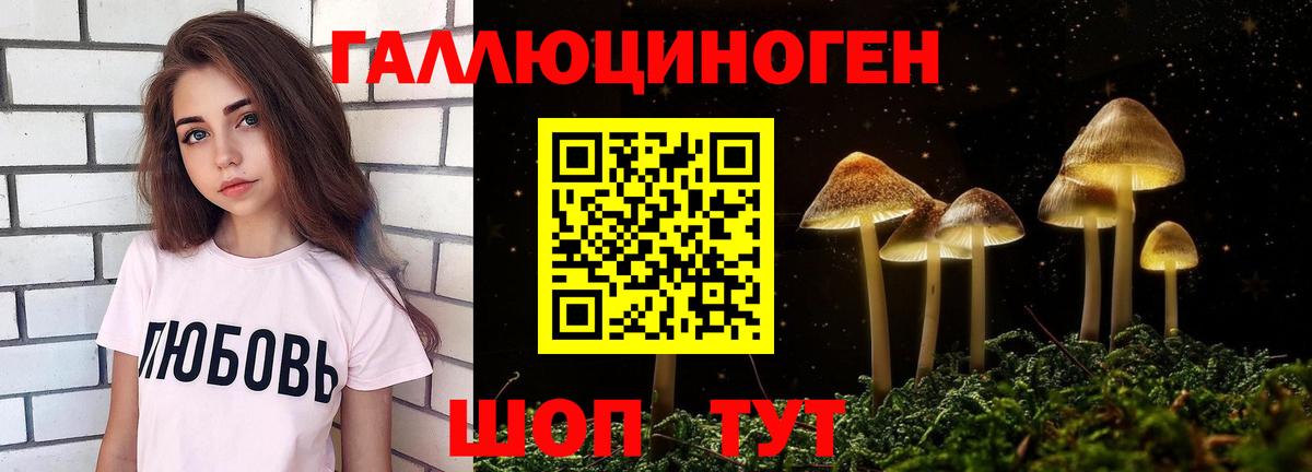 Галлюциногенные грибы Cubensis Азнакаево